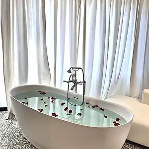 book here